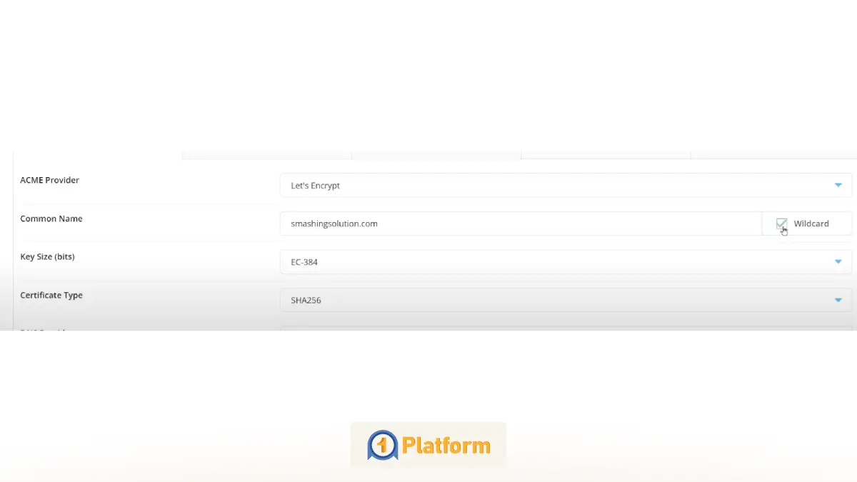 فعال سازی SSL رایگان در دایرکت ادمین (راهنمای تصویری) 5 استفاده از Wildcard SSL برای اعمال SSL بر روی ساب دامین