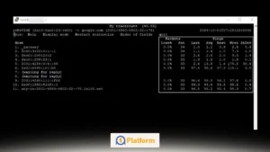 درصد پکت لاست در گزارش MTR 