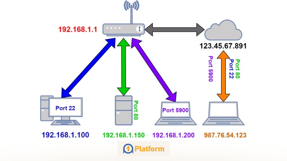 عکس داخل متن وان پلتفرم 1 15