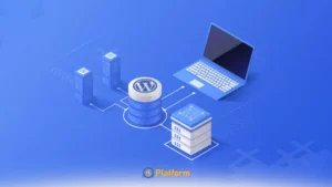 هاست وردپرس برای سایت‌های محتوایی کوچک