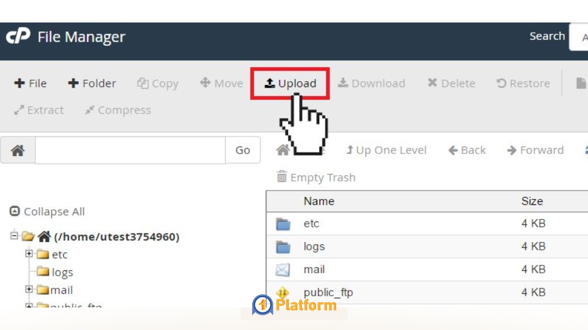 آموزش cPanel برای مبتدیها و حرفهایها (تصویری) 11 ایجاد، ویرایش و حذف فایل و پوشه