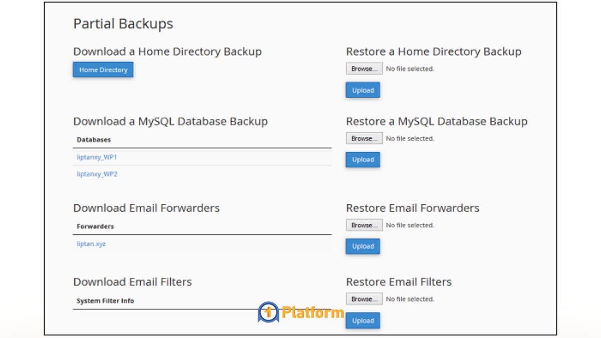 آموزش cPanel برای مبتدیها و حرفهایها (تصویری) 19 آموزش ریستور بکاپ