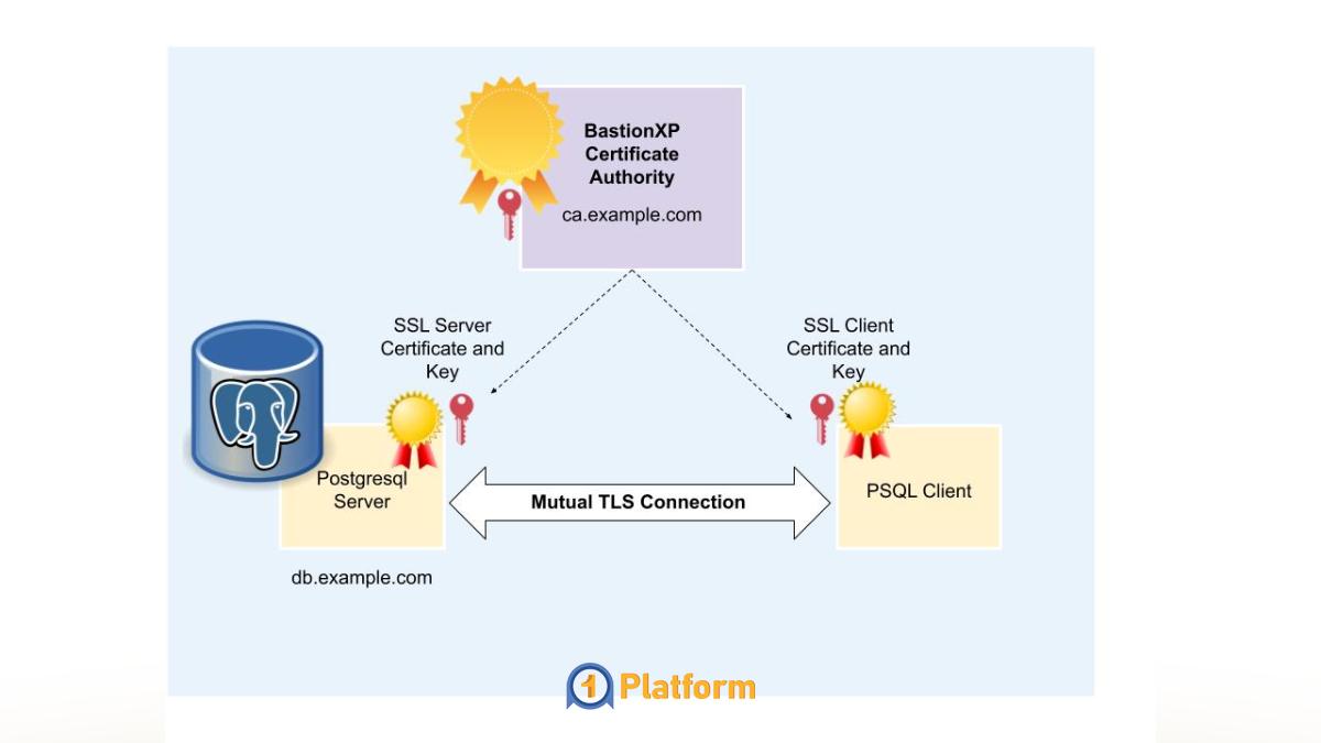 راهاندازی PostgreSQL در سرور | تنظیمات پروداکشن 8 بکاپگیری و بازیابی اطلاعات